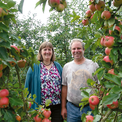&Auml;pfel und Birnen